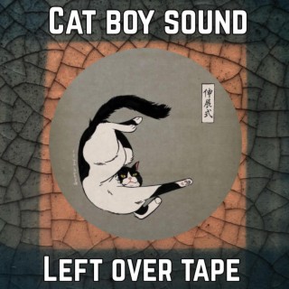 Left Over Tape
