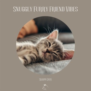 Snuggly Furry Friend Vibes - Sleepy Cats