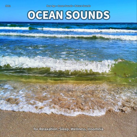 Ocean Sounds, Pt. 50 ft. Ocean Sounds & Nature Sounds