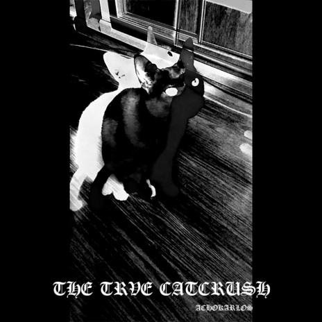 The Trve Catcrush | Boomplay Music