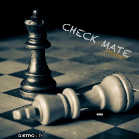 Check Mate | Boomplay Music
