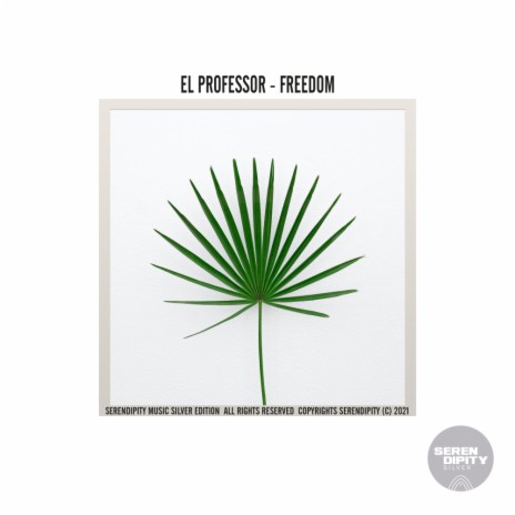 Freedom (Original Mix) | Boomplay Music