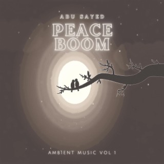 PEACE BOOM (Ambient Music Vol.1)