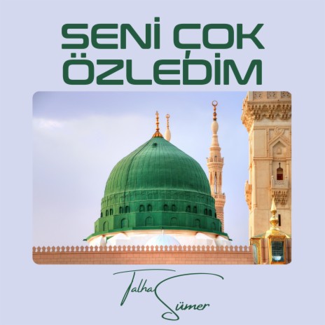 Seni Çok Özledim | Boomplay Music