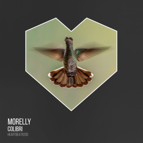 Colibri (Radio Edit) | Boomplay Music