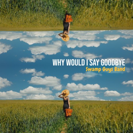 Why Would I Say Goodbye | Boomplay Music