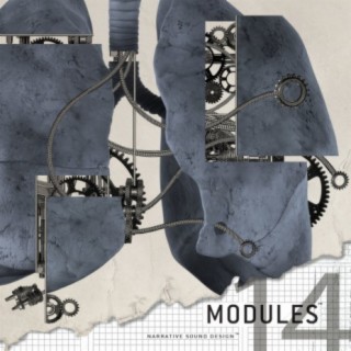 Modules 14