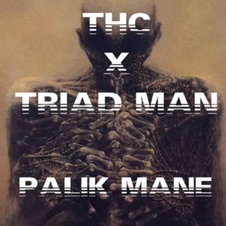 PALIK MANE ft. Triad Man | Boomplay Music