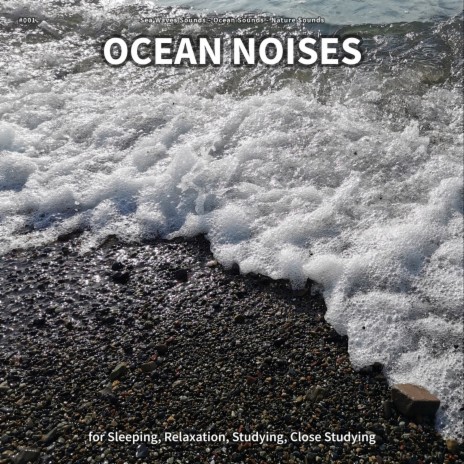 Ocean Noises, Pt. 10 ft. Ocean Sounds & Nature Sounds
