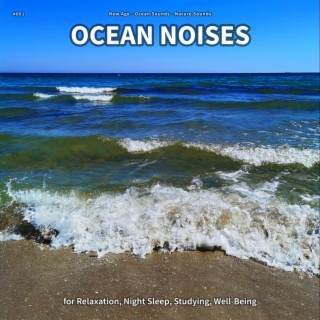 #001 Ocean Noises for Relaxation, Night Sleep, Studying, Well-Being