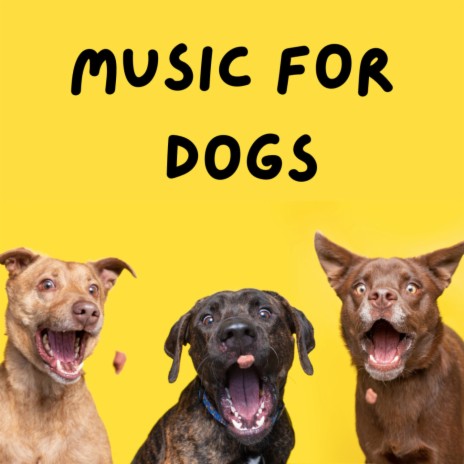 Stress Free Zone ft. Music For Dogs, Relaxing Puppy Music & Calm Pets Music Academy | Boomplay Music