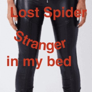 Stranger in my bed