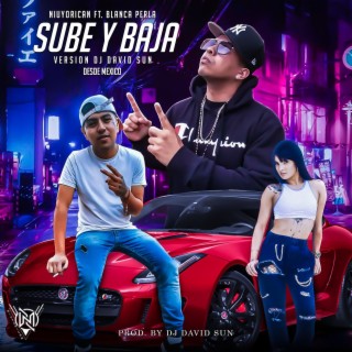 Sube y Baja (Version Dj David Sun)