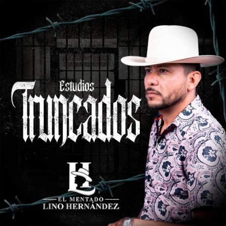 Estudios Truncados | Boomplay Music