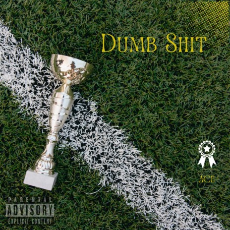 Dumb Shit | Boomplay Music