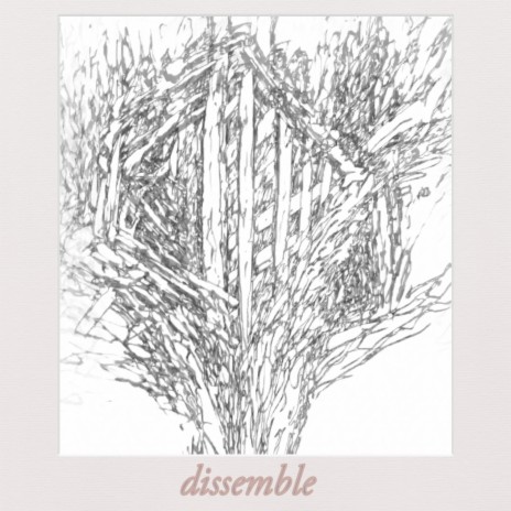 dissemble | Boomplay Music