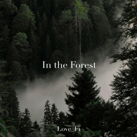 In the Forest | Boomplay Music