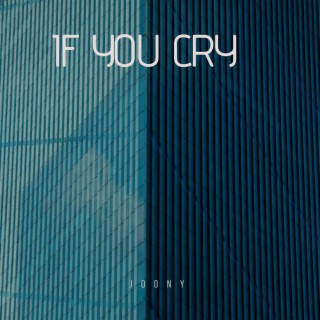 If You Cry