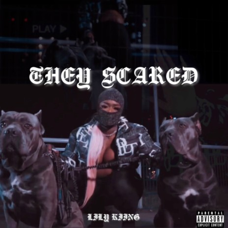 They Scared | Boomplay Music