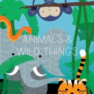 Animals & Wild Things