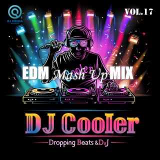 EDM Mash Up Mix, Vol. 17