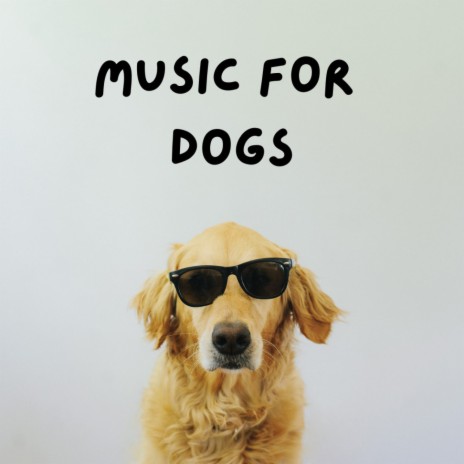 Joyful Paradise ft. Calm Pets Music Academy, Music For Dogs & Music For Dogs Peace | Boomplay Music