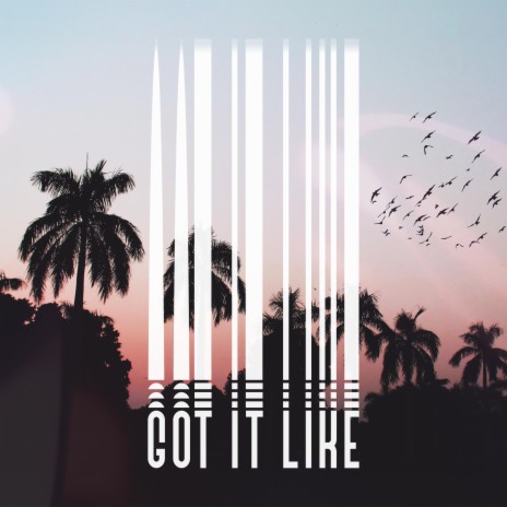 Got it Like | Boomplay Music