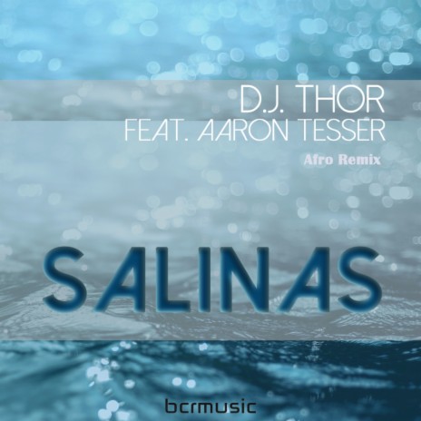 Salinas (D.J. Thor Afro Instrumental Remix) ft. Aaron Tesser | Boomplay Music