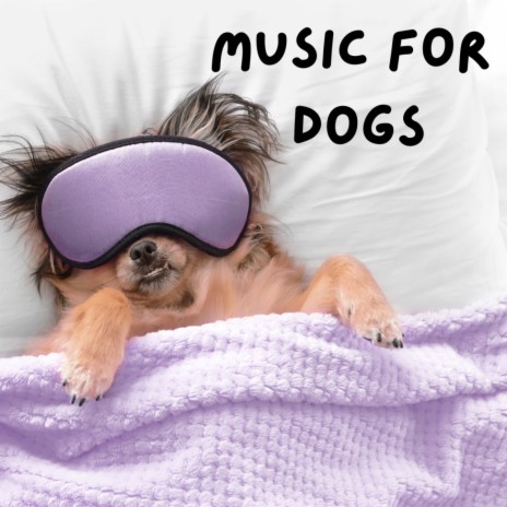 Soft Serenity ft. Calm Pets Music Academy, Music For Dogs & Music For Dogs Peace | Boomplay Music