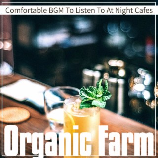 Comfortable BGM To Listen To At Night Cafes