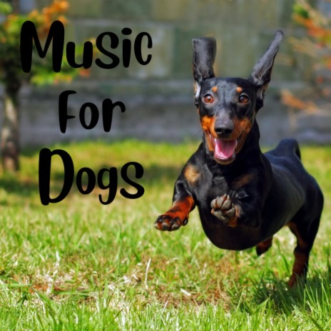 Cozy Warm Sheets ft. Calm Pets Music Academy, Music For Dogs & Music For Dogs Peace | Boomplay Music