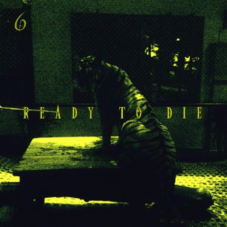 Ready To Die | Boomplay Music