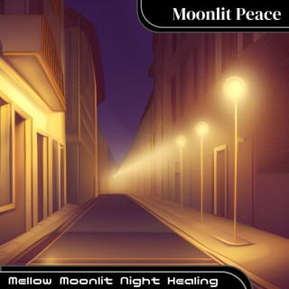 Mellow Moonlit Night Healing