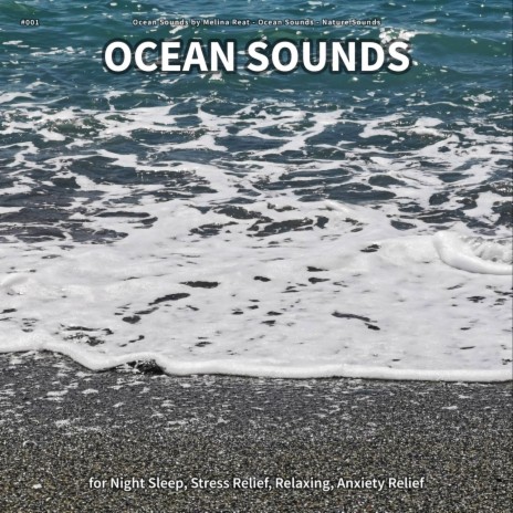 Ocean Sounds, Pt. 10 ft. Ocean Sounds & Nature Sounds