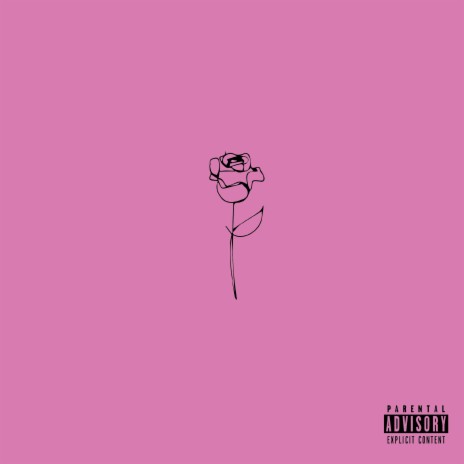 Rose | Boomplay Music