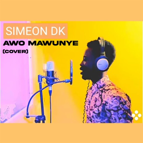 Awo Mawunye (Cover)