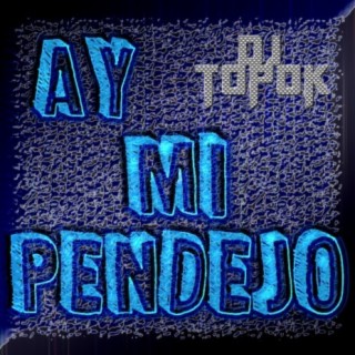 Ay Mi Pendejo