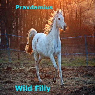 Wild Filly