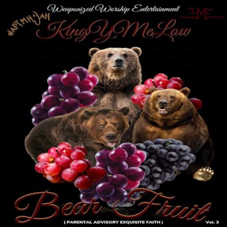 BEAR TRAPS | Boomplay Music