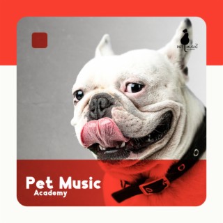 Pet Music Academy: Calm Down Your Animal, Soothing Nature Sounds for Puppies & Cats