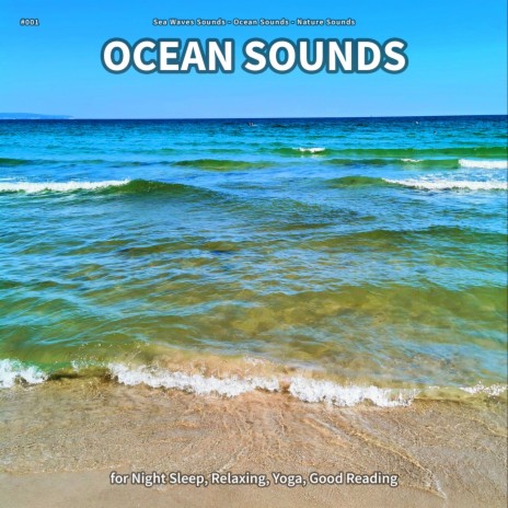 Ocean Sounds, Pt. 75 ft. Ocean Sounds & Nature Sounds