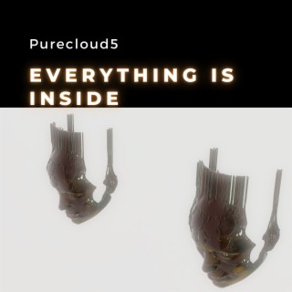 Everything Is Inside