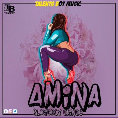 Amina by Placidboy Gringo 🅴 | Boomplay Music