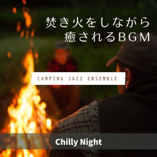 焚き火をしながら癒されるBGM - Chilly Night