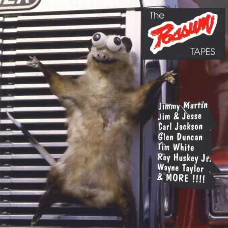 Momma's Not Dead, She's Just Playing Possum | Boomplay Music