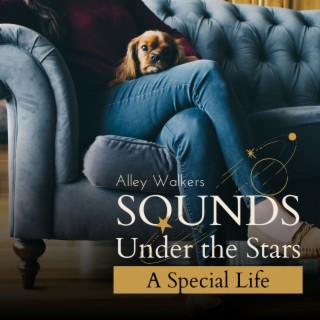 Sounds Under the Stars - A Special Life