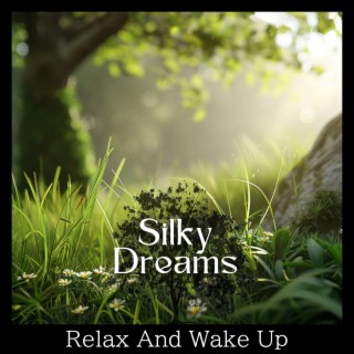 Relax And Wake Up
