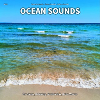 #001 Ocean Sounds for Sleep, Relaxing, Meditation, Delta Waves