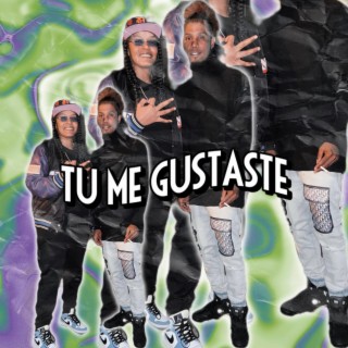 Tu me gustaste