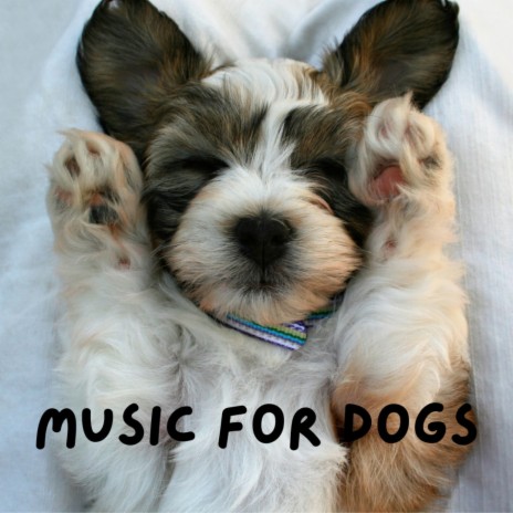 Bed Time Blues ft. Music For Dogs Peace, Relaxing Puppy Music & Calm Pets Music Academy